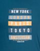 Picture of T-Shirt