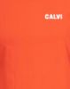 Picture of T-Shirt