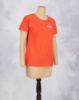Picture of T-Shirt