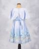 Picture of Frock