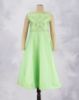 Parrot Green (PG)