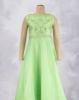Parrot Green (PG)