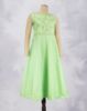 Parrot Green (PG)