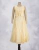 CITRON YELLOW (CY)