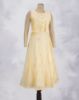 CITRON YELLOW (CY)