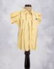 CITRON YELLOW (CY)