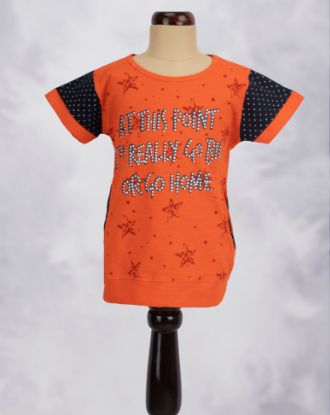 Picture of T-Shirt
