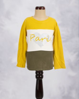 Picture of T-Shirt