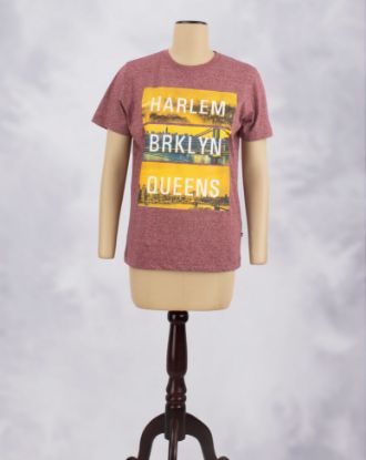Picture of T-Shirt