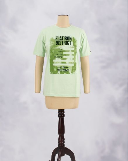Picture of T-Shirt