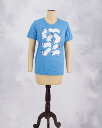 Picture of T-Shirt