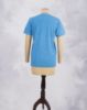 Picture of T-Shirt