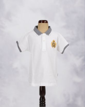 White Plus(WP)