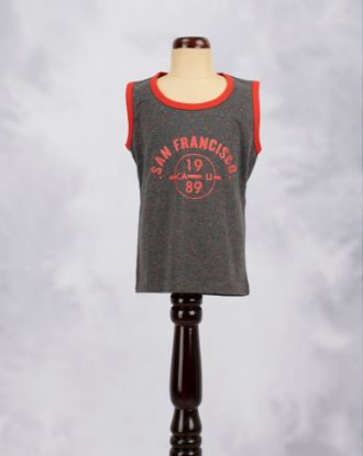 Picture of T-Shirt