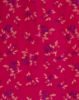 ROSE RED (RR)