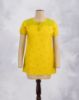 ALPHONSO SQUASH(AS)