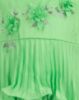 PARROT GREEN (PG)
