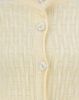 CITRON YELLOW (CY)