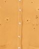 Honey Mustard(HM)