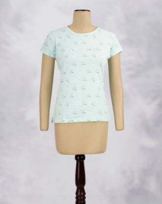 AQUA MARINE (AM)