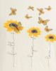 CITRON YELLOW (CY)