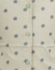Picture of Brown Printed Western Top