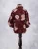 Picture of Maroon Printed Children's Top