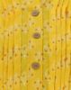 ALPHONSO SQUASH (AS)