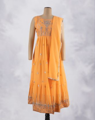 Picture of Orange Embroidered Anarkali