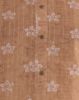Picture of Green Silk Cotton Digital Printed Kurti