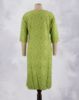 Picture of Apple Green Printed Straight Kurti