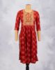 Picture of Orange Tango Floral Print Straight Kurti