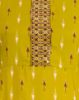 Picture of Apple Green Mirror Umbrella Kurti