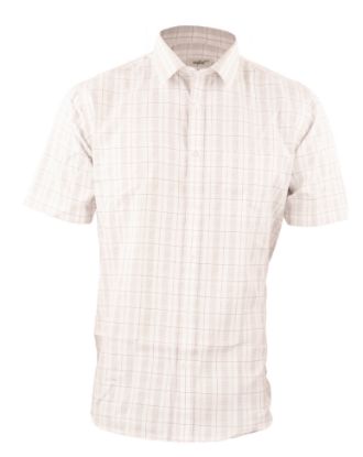 Picture of White & Grey Checks Formal Shirt