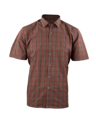 Picture of Brown Cotton Checks Formal Shirt