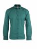 Picture of Green Casual Digital Printed