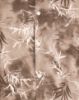Picture of Brown With Grey Digital Printed Shirt