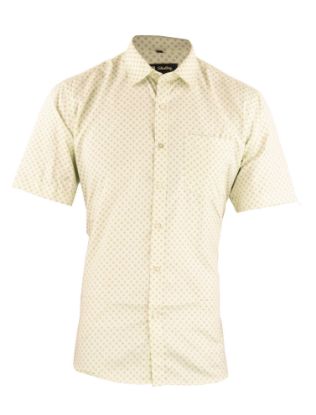 Picture of Lite Green Formal Printed Shirt
