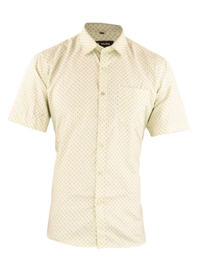 Picture of Lite Green Formal Printed Shirt